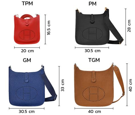 hermes evelyne size guide